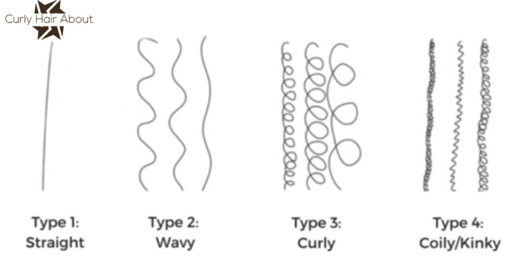 Curl Pattern Type